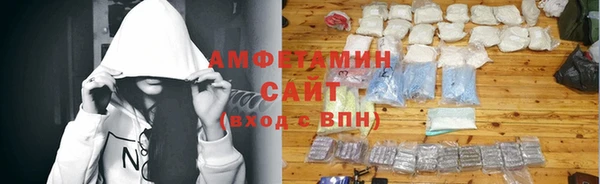 прущие грибы Новодвинск