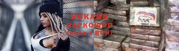 хмурый Алексин