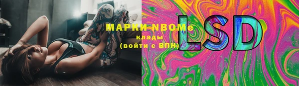 хмурый Алексин