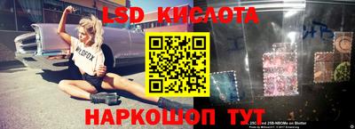 spice Моздок