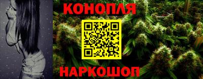 spice Моздок