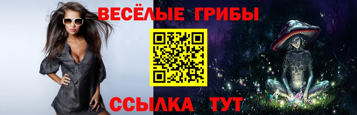Галлюциногенные грибы прущие грибы  Псилоцибиновые грибы Psilocybine cubensis  купить закладку  Тихвин  Вход с VPN 